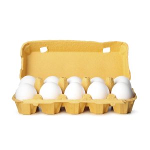 Egg
